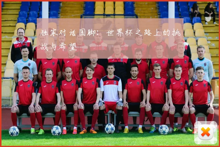独家对话国脚：世界杯之路上的挑战与希望
