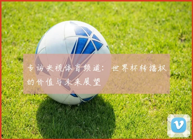 专访央视体育频道:世界杯转播权的价值与未来展望