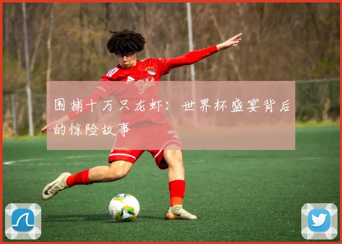 围捕十万只龙虾:世界杯盛宴背后的惊险故事