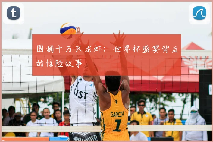 围捕十万只龙虾:世界杯盛宴背后的惊险故事