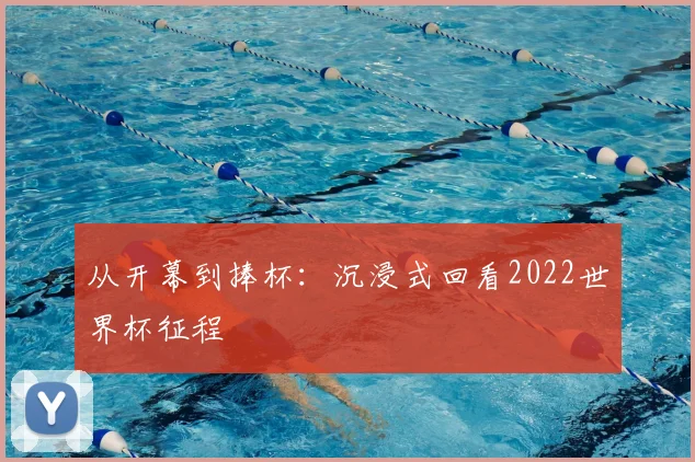 从开幕到捧杯：沉浸式回看2022世界杯征程