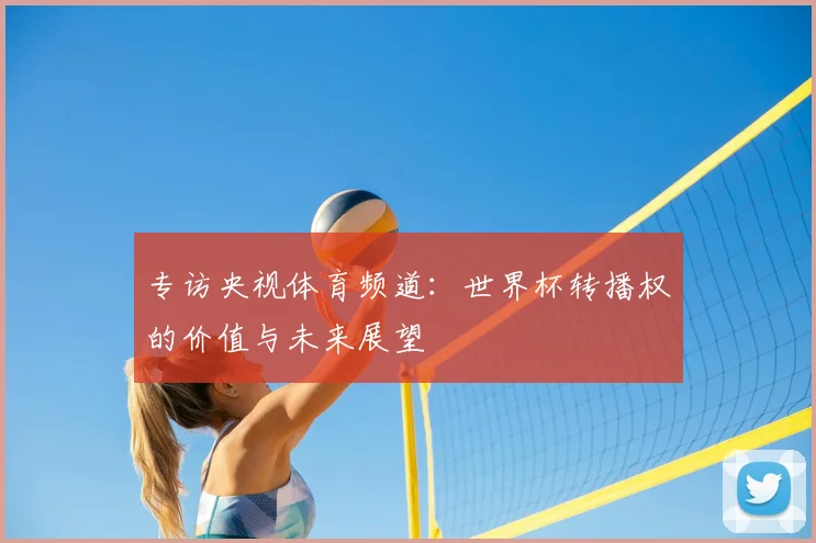 专访央视体育频道:世界杯转播权的价值与未来展望